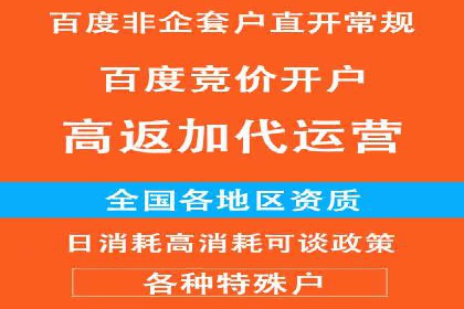 百度推广运营实战：成功案例解析